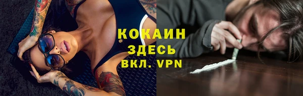 соль ск Арсеньев