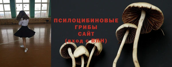 прущий лед Алзамай