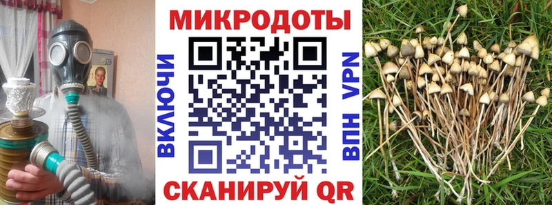 Галлюциногенные грибы мухоморы Черкесск